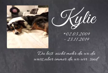 Gedenkstein, Grabstein, Gedenkkreuz, Grabschmuck Gedenktafel Kylie Bild