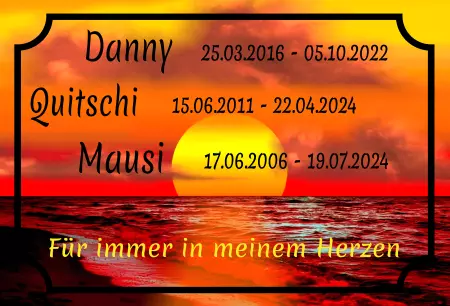 Gedenkstein, Grabstein, Gedenkkreuz, GrabschmuckGedenktafel Danny, Quitschi und Mausi Bild