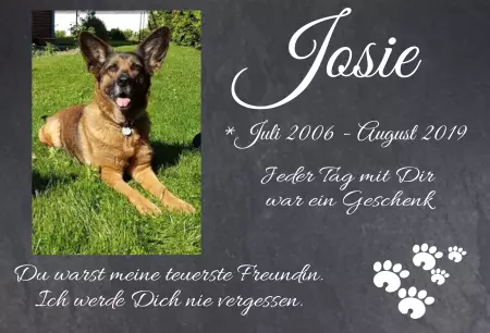 Gedenkstein, Grabstein, Gedenkkreuz, Grabschmuck Gedenktafel Josie Bild