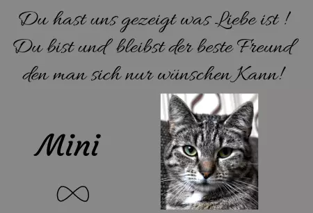 Gedenkstein, Grabstein, Gedenkkreuz, Grabschmuck Gedenktafel Mini Bild