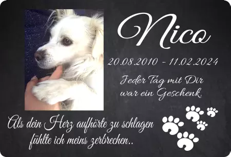 Gedenkstein, Grabstein, Gedenkkreuz, Grabschmuck Gedenktafel Nico Bild