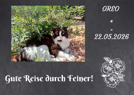 Gedenkstein, Grabstein, Gedenkkreuz, Grabschmuck Gedenktafel Oreo Bild